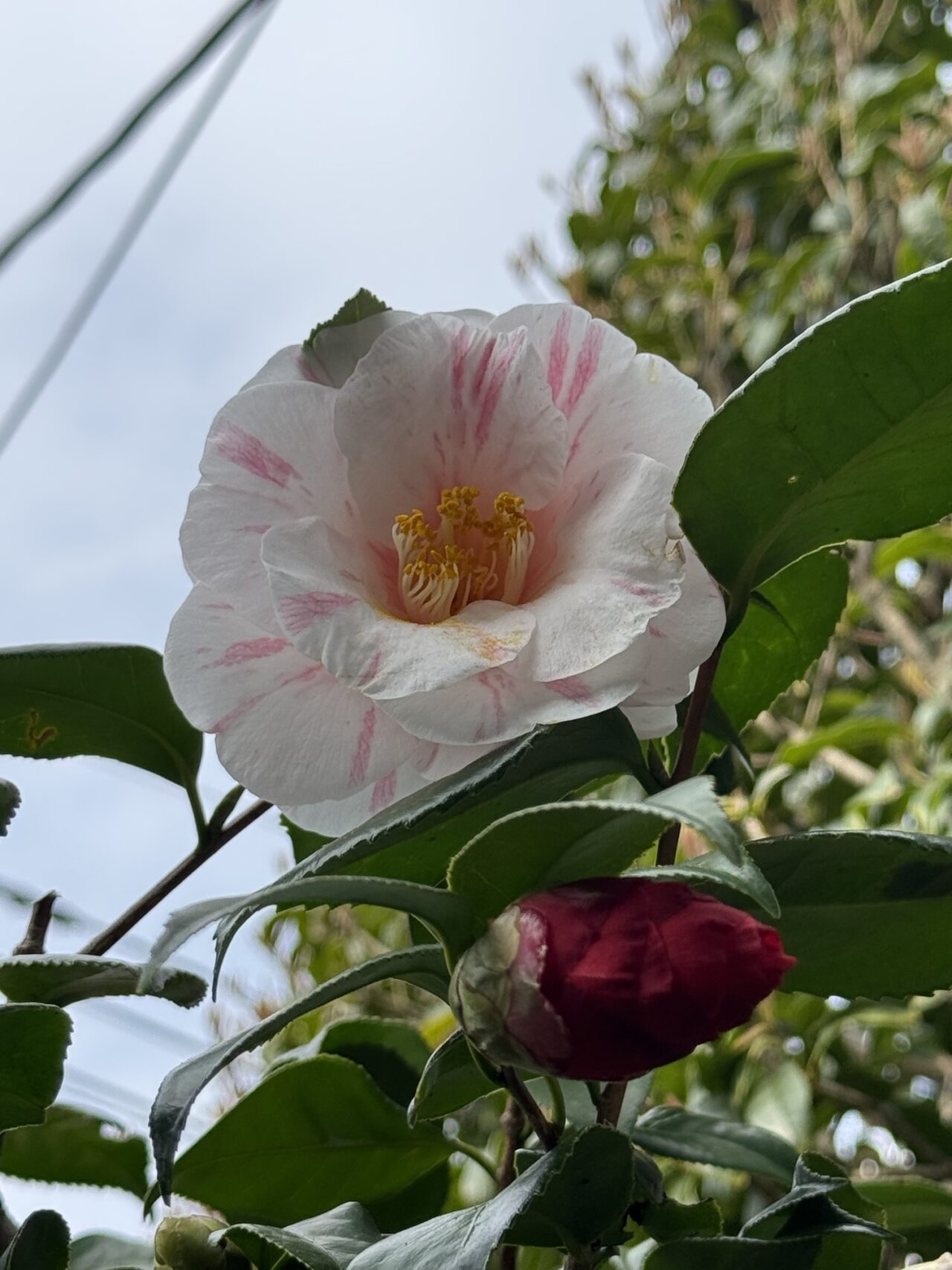 >小さな記録のある場所