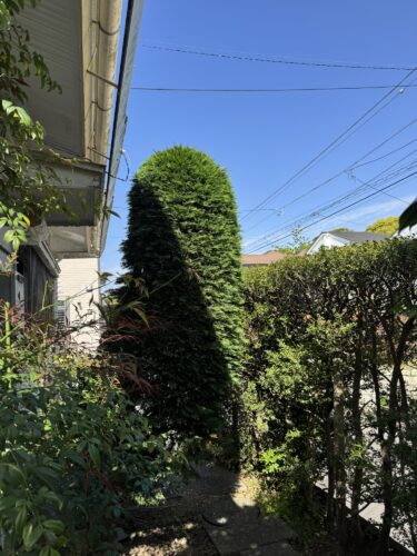 朝の門清掃で気づいたこと