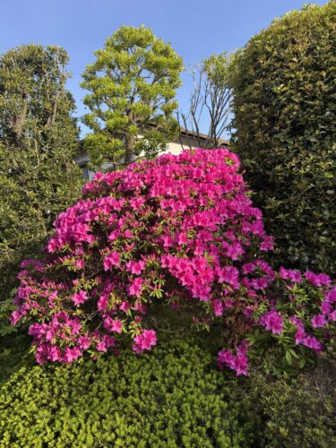 少し贅沢な時間