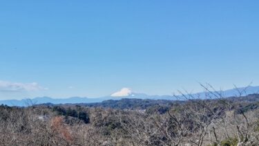 冬から春へ、星たちのバトンタッチの夜
