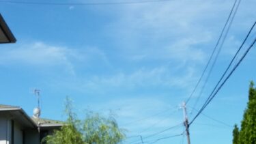 ひなちゃんとパパの飛行訓練