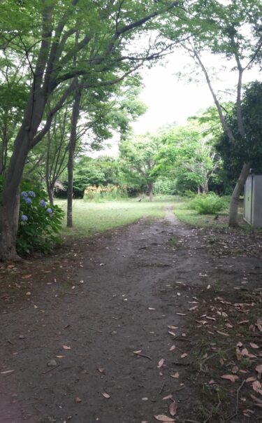 霧の通りで