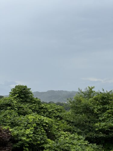 韓国の空は少し低かった
