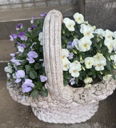 あの日、私の番号が呼ばれた