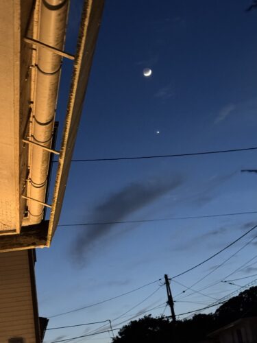 金星さんは、毎年同じではない