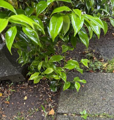 少し力を抜いてみたら