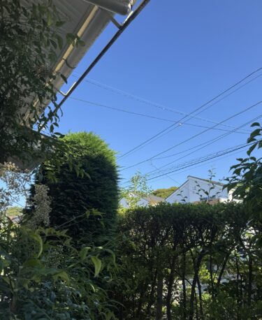 朝の時間に戻ってみて