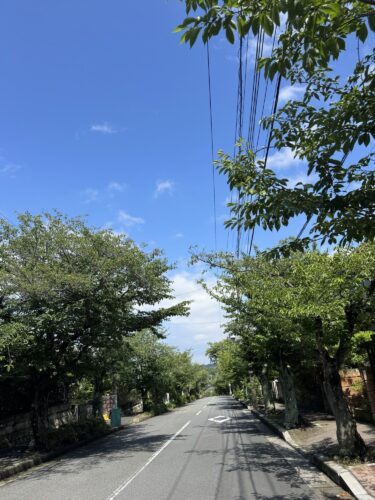 梅雨の合間の爽やかな昼下がり