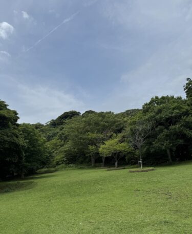 雨の合間に見つけた、小さな幸せ