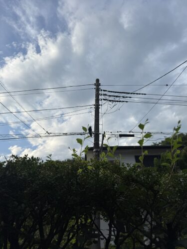 緑より　実家っていいなぁ