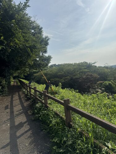 宇宙のお話ではないところで見つけた、野村先生の言葉